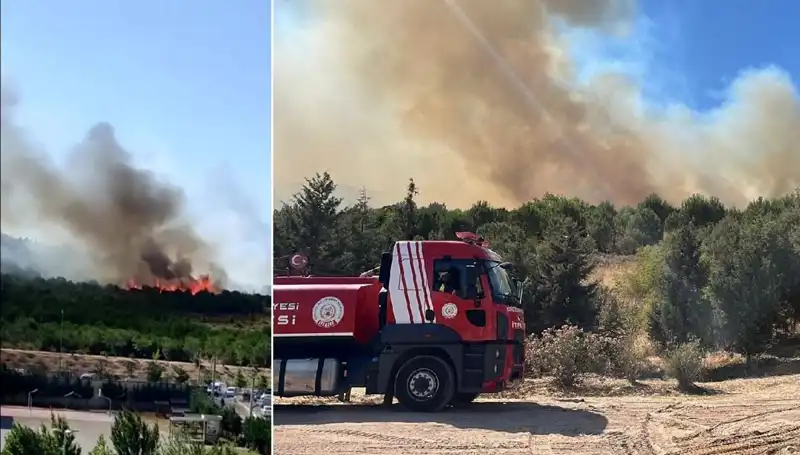 Gebze'de Yükselen Alevler: Orman Yangınının Ardındaki Nedenler ve Etkileri