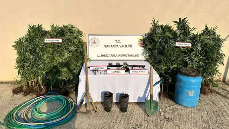 Sakarya'da Uyuşturucu Operasyonu: Güvenlik Güçlerinden Etkili Müdahale