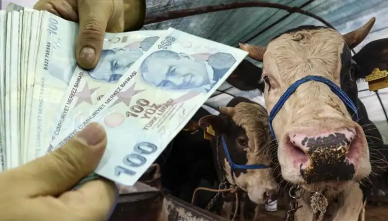 Maaşlar Kurban Bayramı Öncesi Yatacak mı? İşte Cevabı!