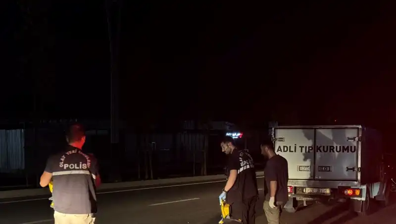 Yol Kenarında Hayatını Kaybeden Genç: Olayın Ayrıntıları