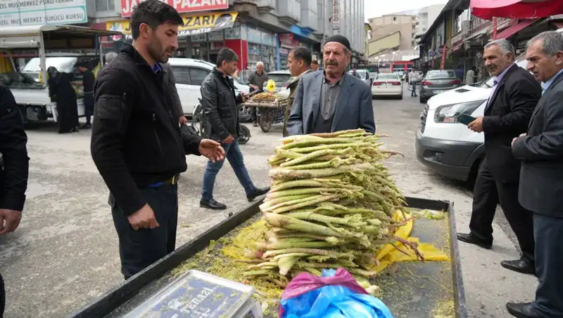 Doğanın Mucizesi: Dağlık Alanlardan Toplanan Şekerin Sağlığa Faydaları