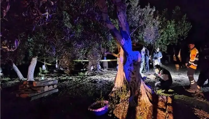 Çiftlikteki Baltalı Vahşetin Ardında Şok Tutuklama Gerçekleşti!