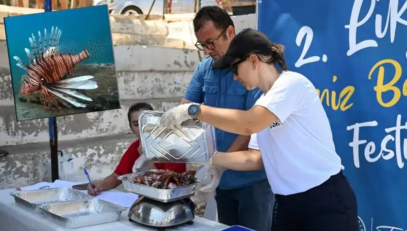 Antalya'da İstilacı Aslan Balığı Avlama Yarışması: Sürdürülebilir Balıkçılığın Yeni Yüzü
