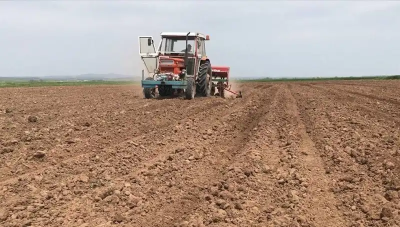 Son 35 Yılın En Kurak Mart Ayı: Beklenmedik Yağış Düşüşü
