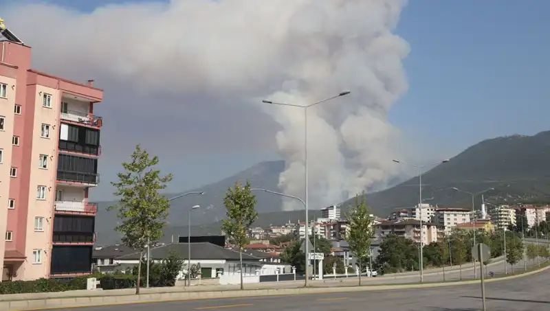 Denizli'de Orman Yangını: Olayın Ardındaki Gizemli Şüpheli Kim?