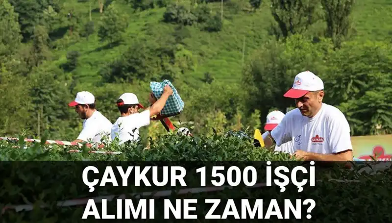 Çaykur İşçi Alımı Başvuru Tarihleri ve Süreci Hakkında Son Gelişmeler