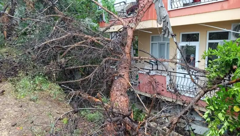 Aşırı Yağışlar Bir Bina Daha Devirdi: Olayın Ardındaki Gerçekler
