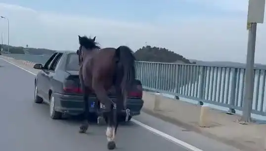 Adana'da Şok Olay: Ata Eziyet Eden Kişi Tutuklandı!