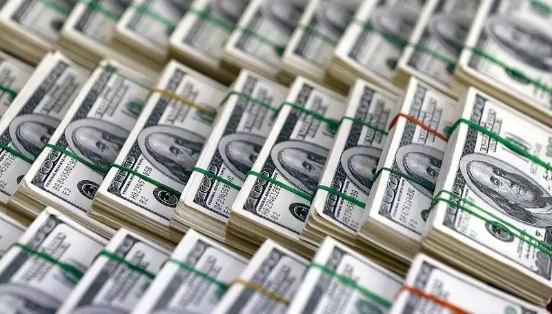Doların Hızla Yükselişi: Ekonomistler Harekete Geçin Dedi