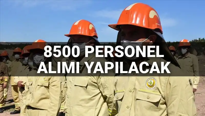 2025’te Tarım ve Orman Bakanlığı 8500 Personel Alımı: İşte Tüm Detaylar!